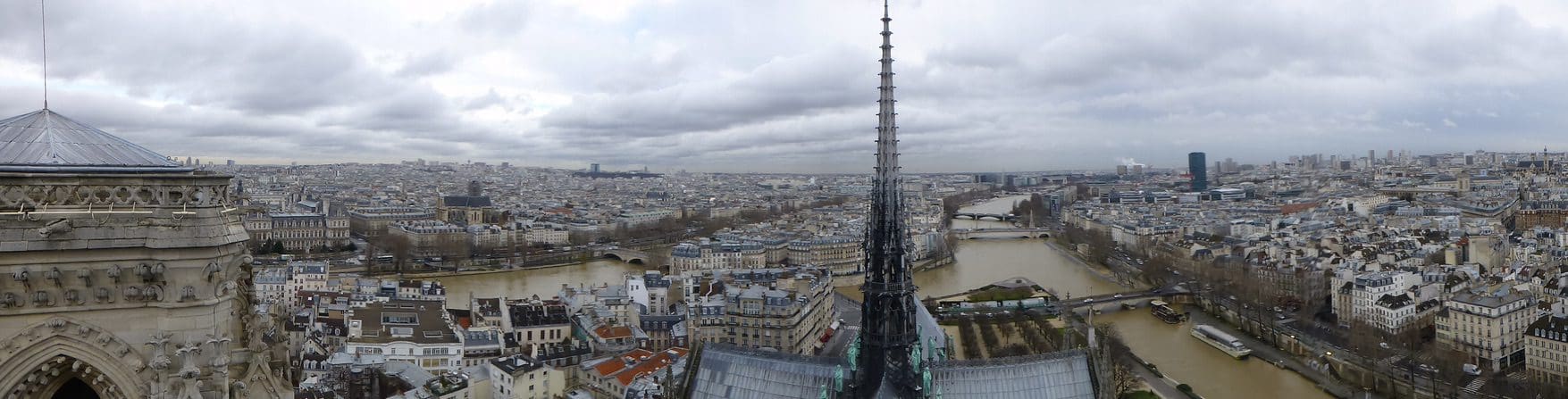 Paris from Notre Dame