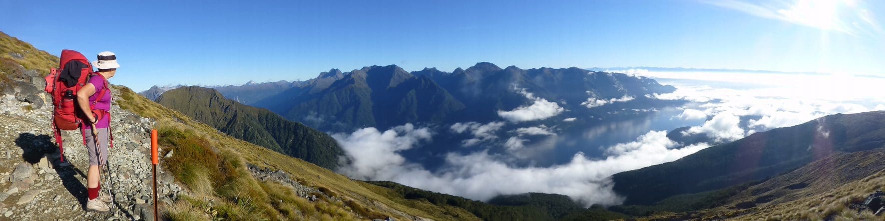 Kepler Track