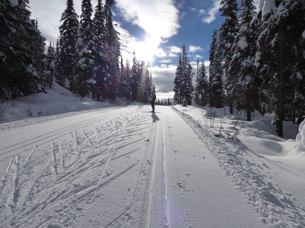 Sun Peaks Holy Cow