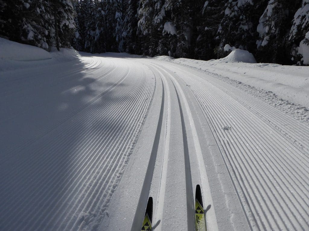 Skis in the tracks