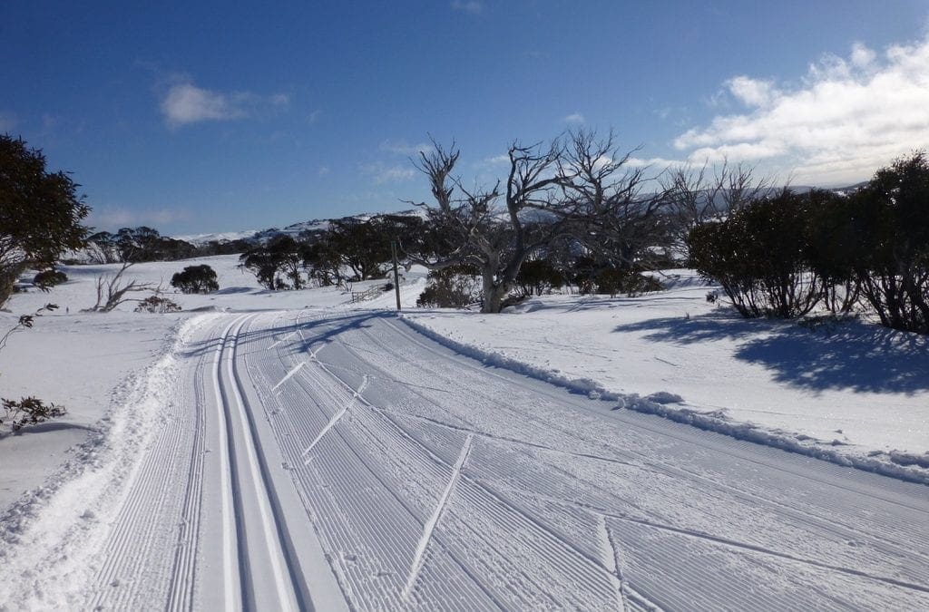 Perisher 2014 – Nordic Skiing – Learnings