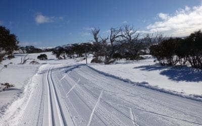 Perisher 2014 – Nordic Skiing – Week Four