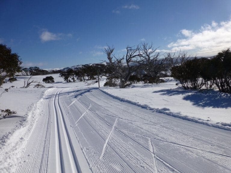 Perisher 2014 – Nordic Skiing – Learnings