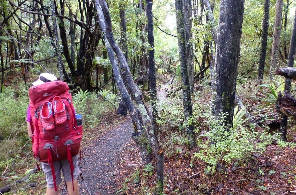 New Zealand 2015 Stewart Island Rakiura Track