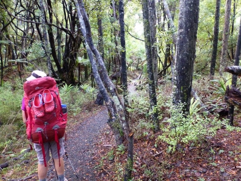 Rakiura Track