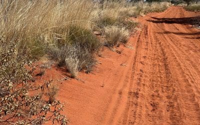 Coates 15 Day Gibson Desert Trip Alice to Perth June 2023