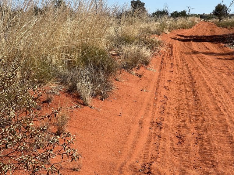 Coates 15 Day Gibson Desert Trip Alice to Perth June 2023