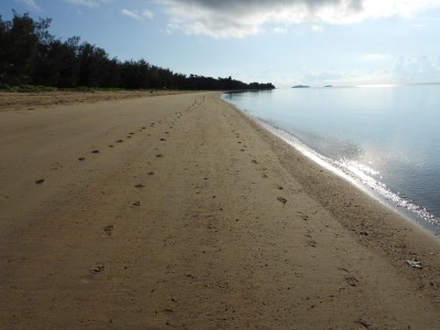 Kurrimine Beach