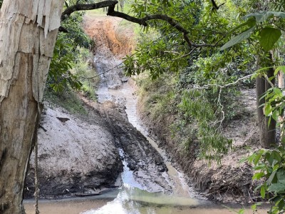 Old Telegraph Track - Palm Creek Crossing