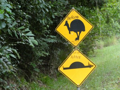 Cassowary Sign