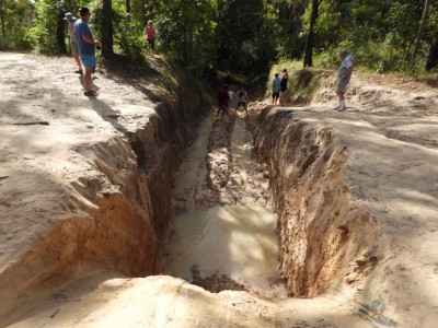 Old Telegraph Track - Palm Creek Crossing