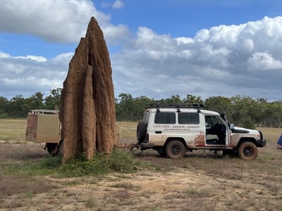 Large Termite Mound