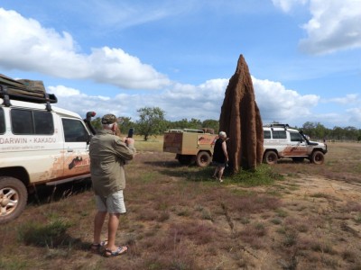 Termite Mound