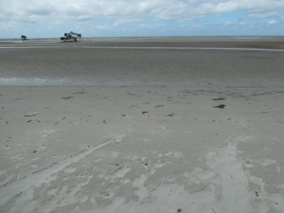 Stingray Bay