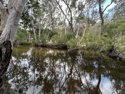 Coen Lunch Spot