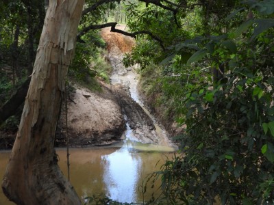 Old Telegraph Track - Palm Creek Crossing