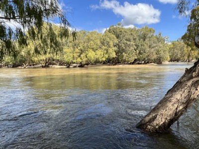 Archer River Crossing