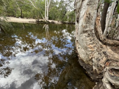 Coen Lunch Spot