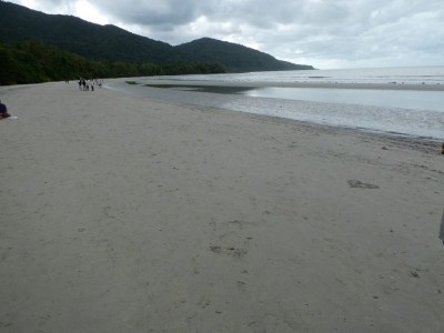 Cape Tribulation Beach