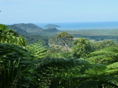 Alexandra Lookout