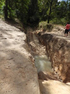 Old Telegraph Track - Palm Creek Crossing