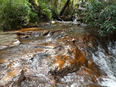 Falls at lunch stop