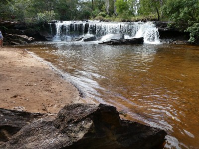 Falls at lunch stop