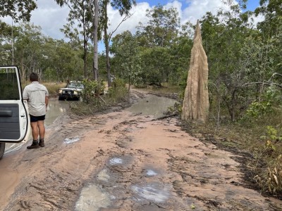 Old Telegraph Track - Andy Gets Stuck