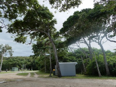 Bent trees - Windy Loo