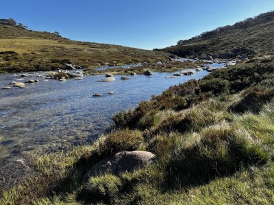 Blue Lake Walk 26 Dec