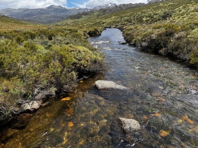 Cascade Trail Thredbo River