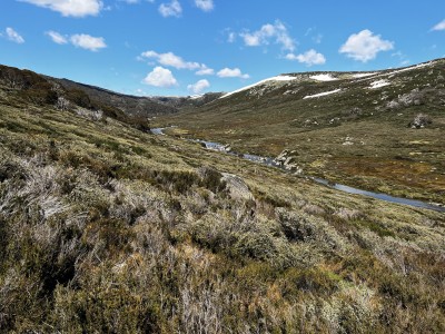 Snowy River 23 Dec