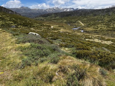 Cascade Trail Thredbo River