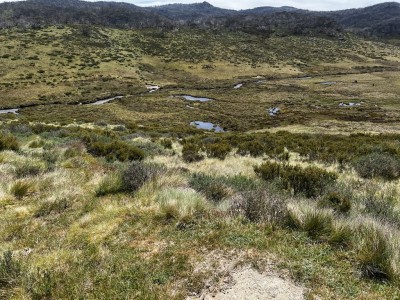 Cascade Trail Thredbo River