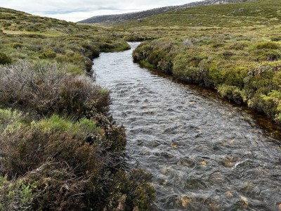 Cascade Trail Thredbo River