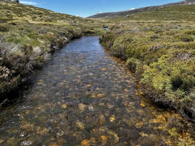 Cascade Trail Thredbo River