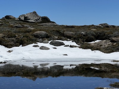 Small pond 18 Dec