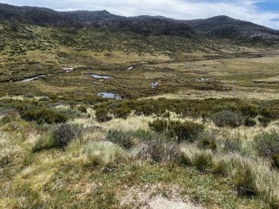 Cascade Trail Thredbo River