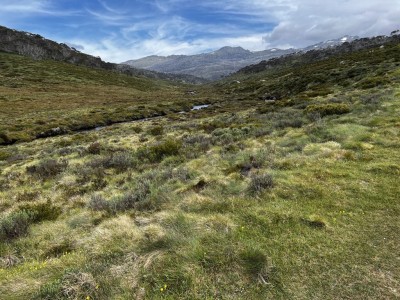 Cascade Trail Thredbo River