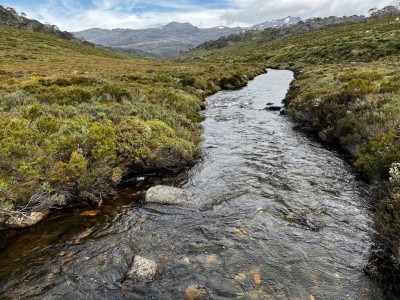 Cascade Trail Thredbo River