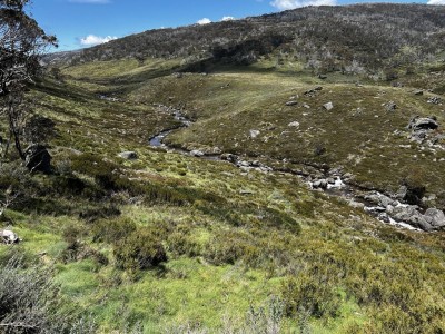 Cascade Trail Thredbo River