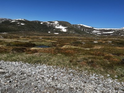 Blue Lake Walk 26 Dec