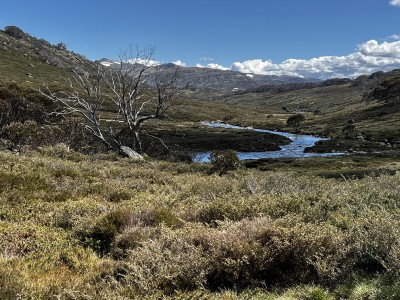 Snowy River 23 Dec