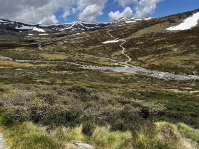 Snowy River stepping stone crossing 23 Dec