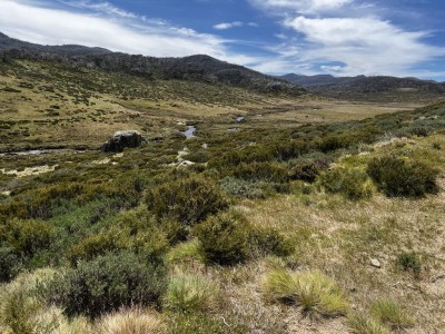 Cascade Trail Thredbo River