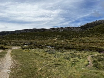 Cascade Trail